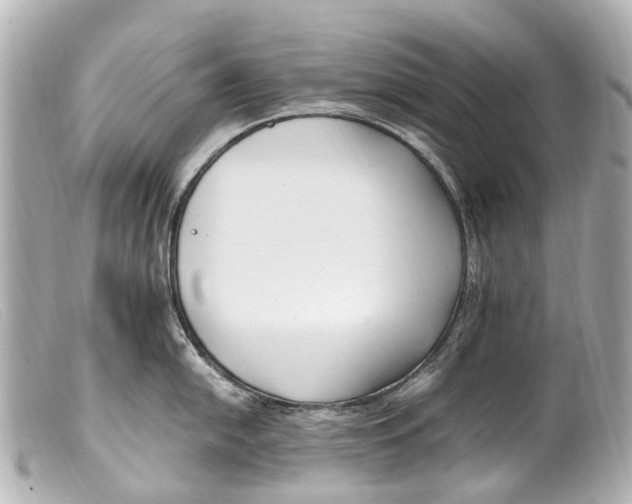 X0000099401054200805291206