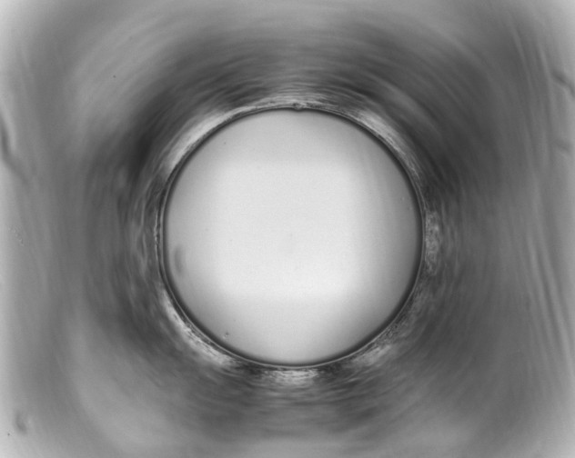 X0000099401055200805291206