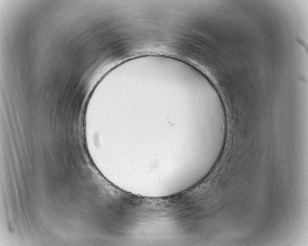 X0000099401056200805291206