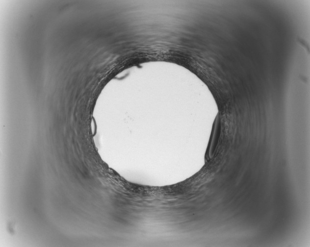 X0000099401057200805291205