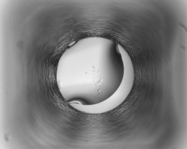 X0000099401058200805291205