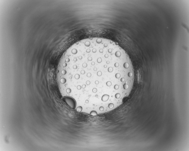 X0000099401059200805291205