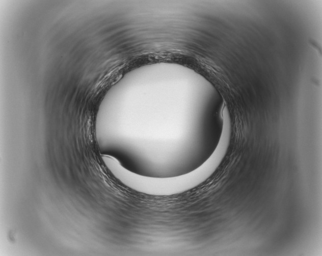 X0000099401060200805291205