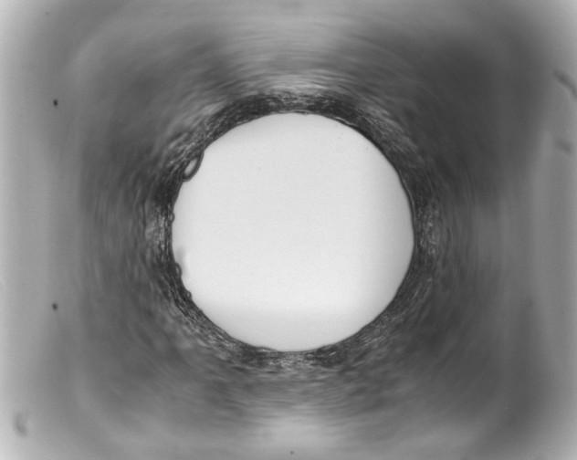 X0000099401061200805291205