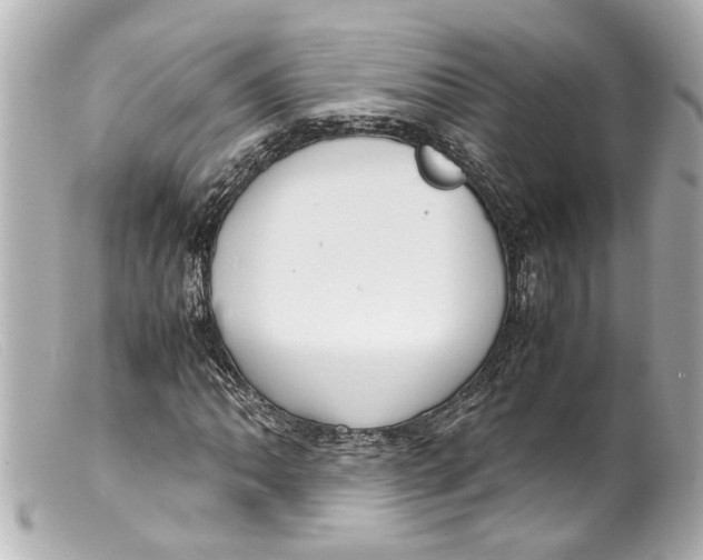 X0000099401062200805291205