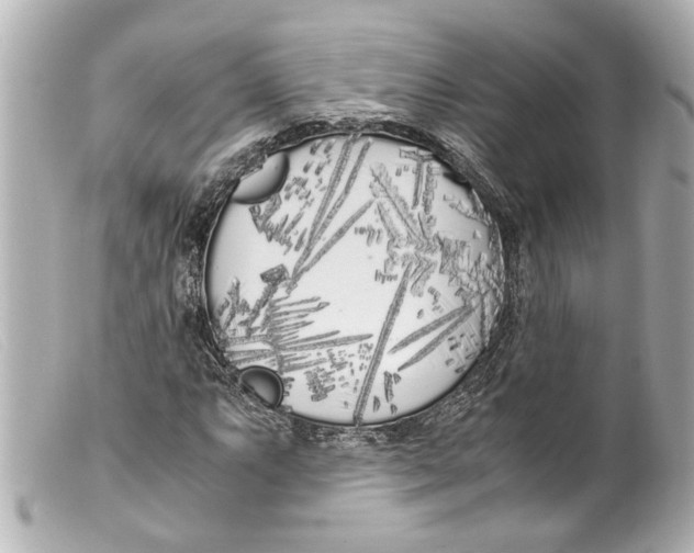 X0000099401063200805291205