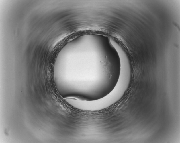 X0000099401064200805291205