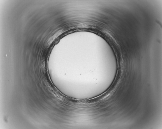 X0000099401065200805291205