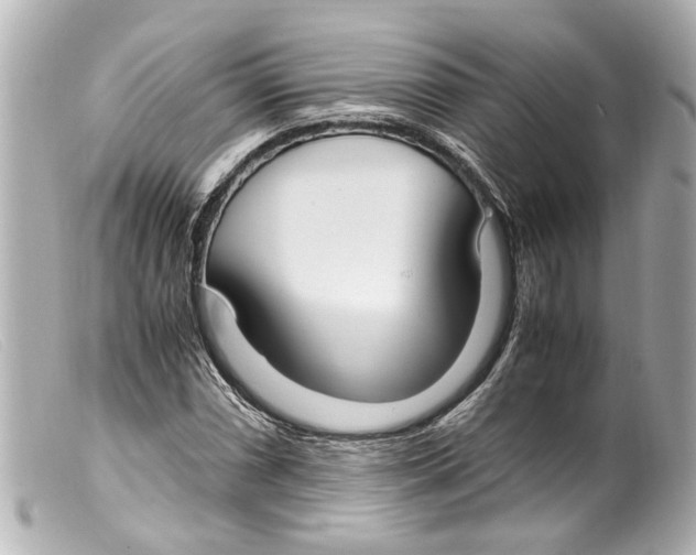 X0000099401066200805291205