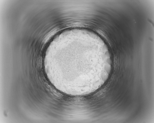 X0000099401067200805291205