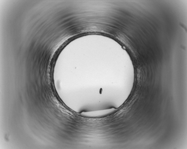 X0000099401068200805291205