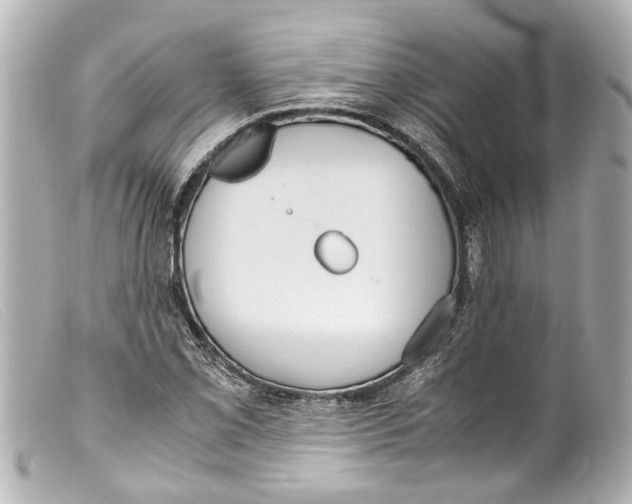 X0000099401069200805291205