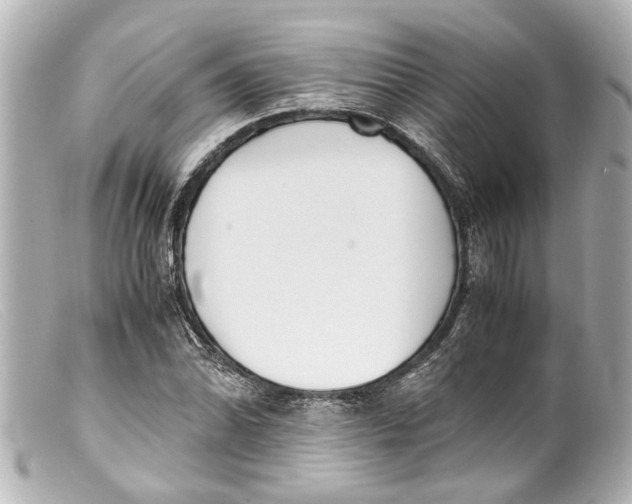 X0000099401070200805291205