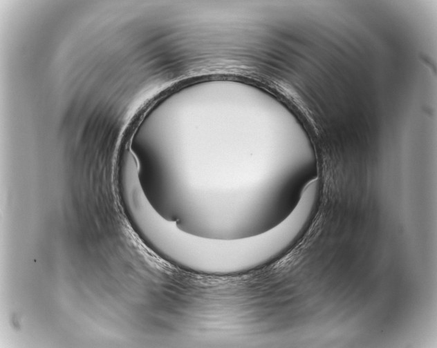 X0000099401072200805291205