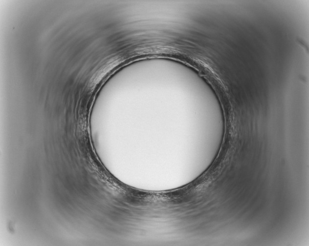 X0000099401073200805291205