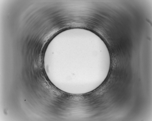 X0000099401074200805291205