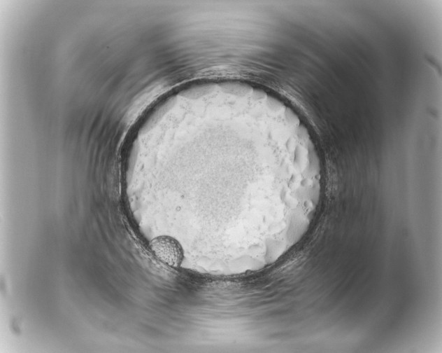 X0000099401075200805291205