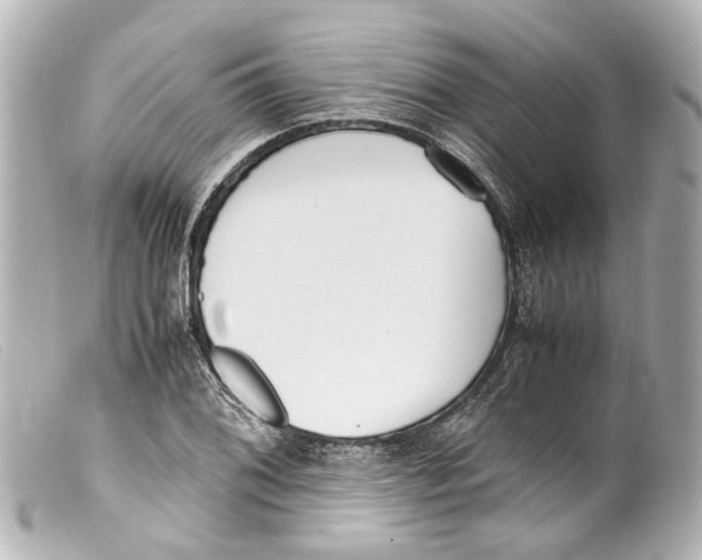 X0000099401076200805291205