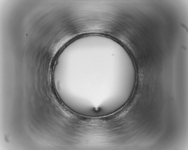 X0000099401077200805291205