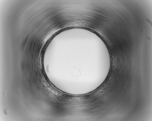 X0000099401078200805291205