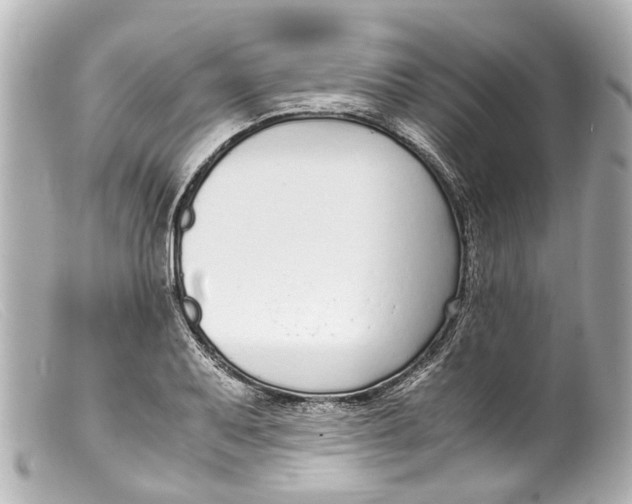 X0000099401079200805291205