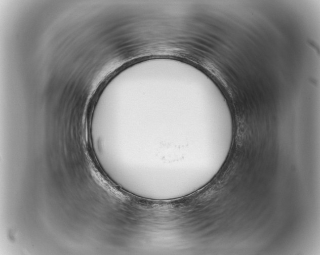 X0000099401080200805291205