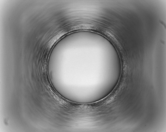 X0000099401081200805291205