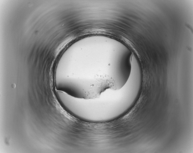 X0000099401082200805291205