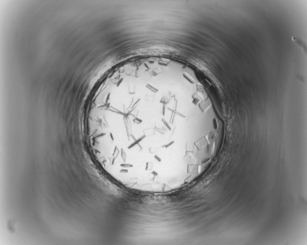 X0000099401083200805291205