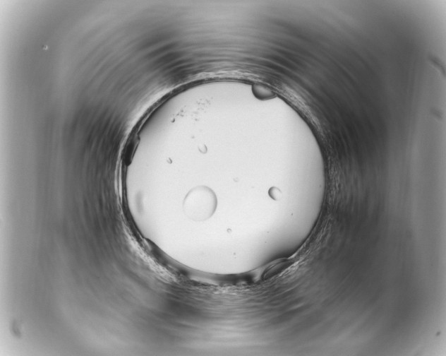 X0000099401084200805291205