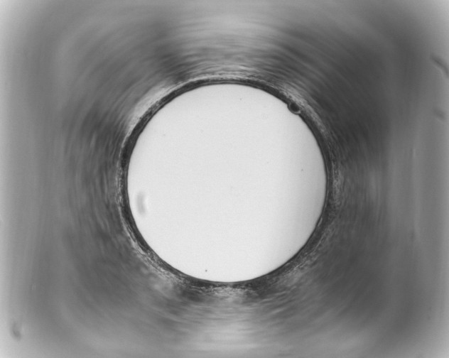 X0000099401085200805291205