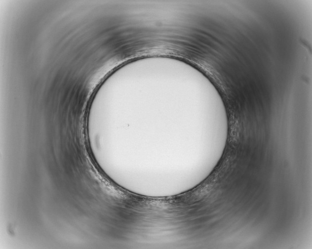 X0000099401086200805291205