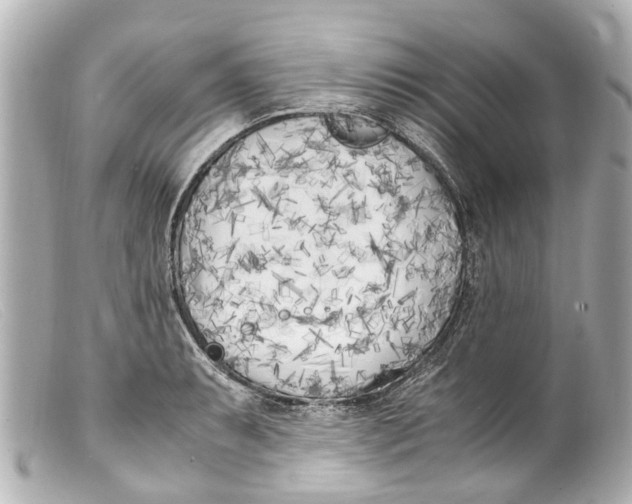 X0000099401087200805291205