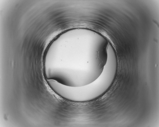 X0000099401088200805291205