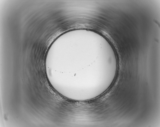 X0000099401089200805291205