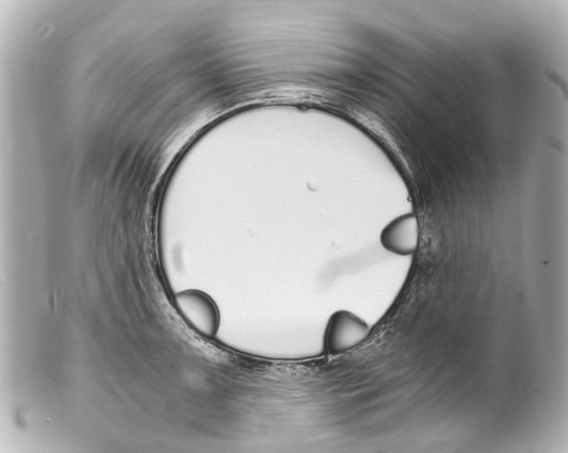 X0000099401091200805291205