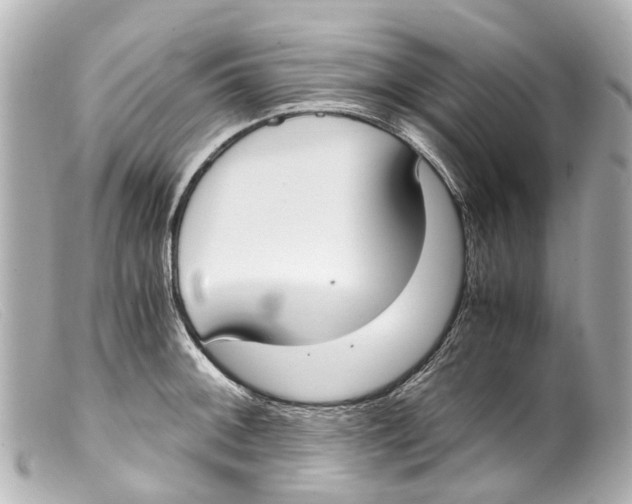 X0000099401092200805291205