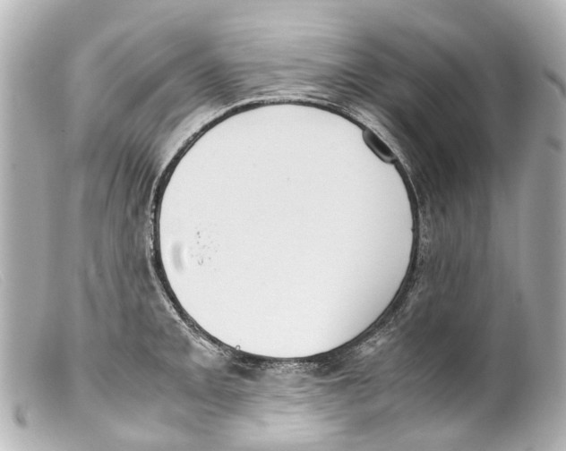 X0000099401093200805291205