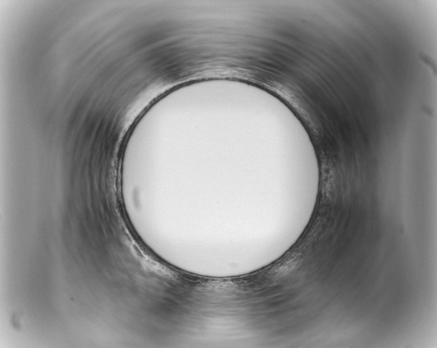 X0000099401094200805291205