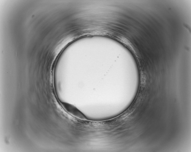 X0000099401095200805291205