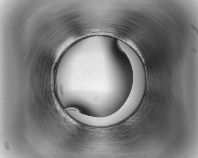 X0000099401096200805291205