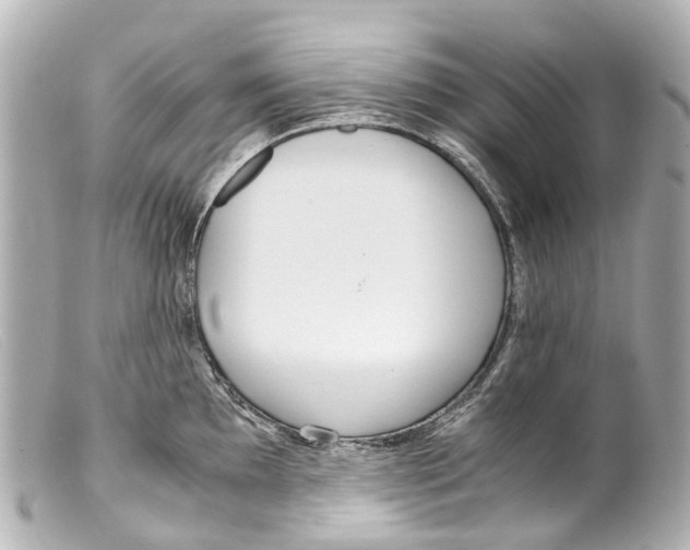 X0000099401097200805291205