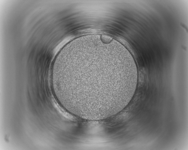 X0000099401098200805291205