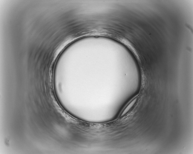 X0000099401099200805291205