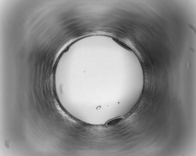 X0000099401100200805291205