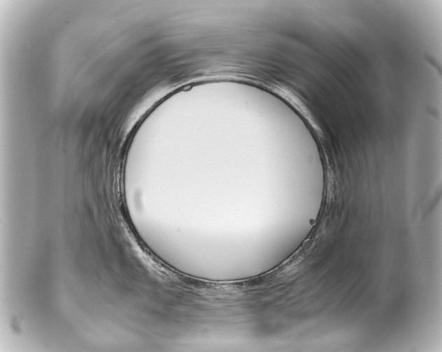 X0000099401101200805291205