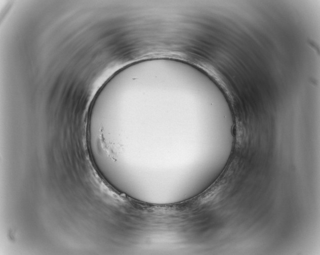 X0000099401102200805291205