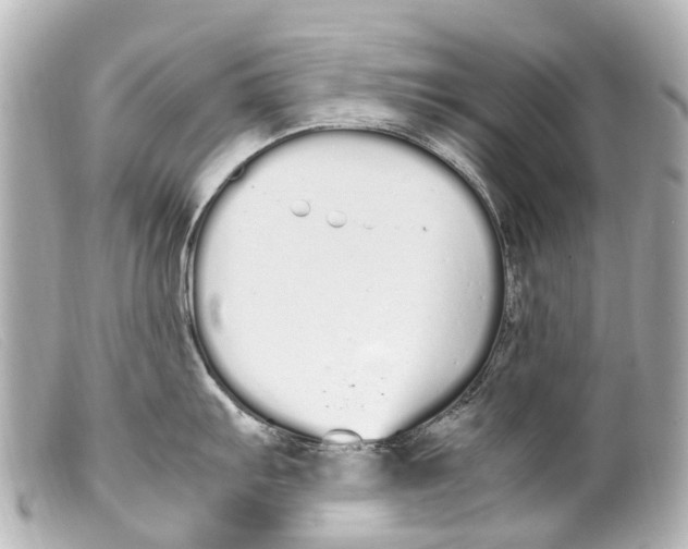 X0000099401103200805291205