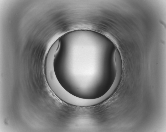 X0000099401104200805291205