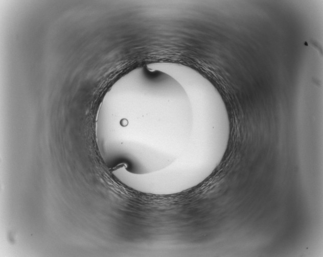 X0000099401105200805291204